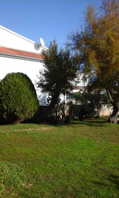 Apartment Benjamin Rogoznica (Sibenik-Knin) Exterior foto